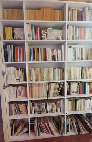 Libros de filologia: novelas, ensayo, poesia