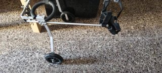 Silla de Ruedas para Perros Medianos