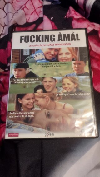 DVD pelicula Fucking Amal lesbianas LGTB