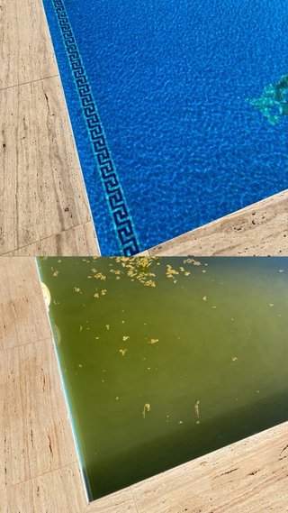 🇪🇸  ¿NECESITA UN JARDINERO EN LA COSTA DEL SOL, MÁ