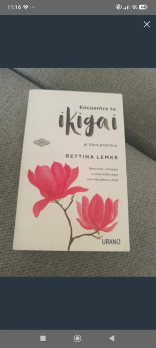 Encuentra tu ikigai