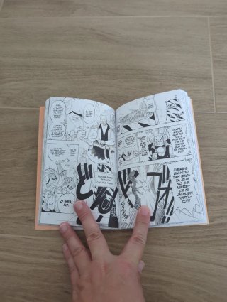 One Piece no1 Amanecer de una aventura