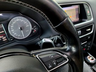 Audi SQ5 2014