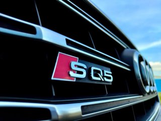 Audi SQ5 2014