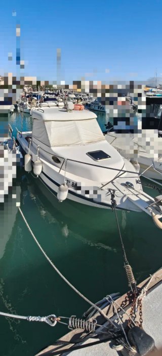 Barco Felco Delfyn 680