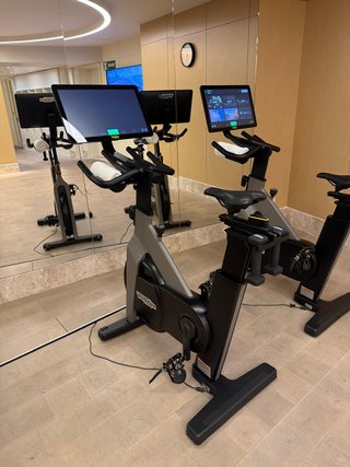 2 Bicicletas Estáticas Technogym