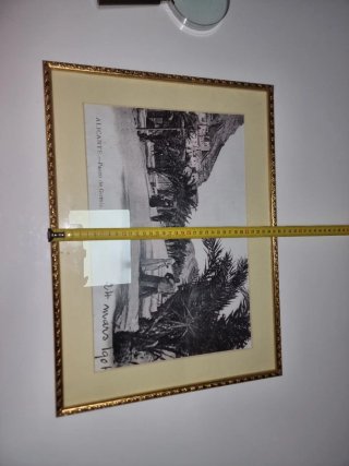Foto Antigua Alicante Paseo Gómiz 1901