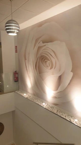 Pintor profesional y economico