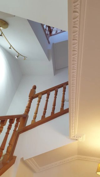 Pintor profesional y economico