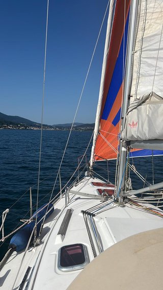 Hanse 315 Velero