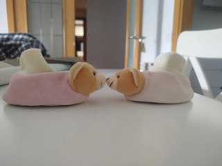 Patucos de Bebé/Muñeco reborn con Diseño de Osito
