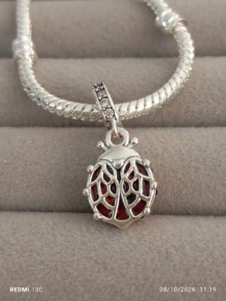 Charm mariquita roja
