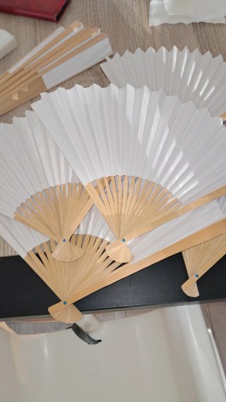 Lote de Abanicos para Eventos