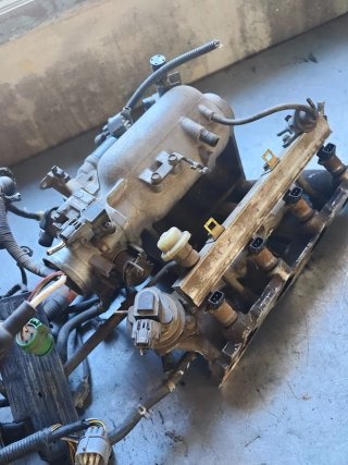 Colector de admisión Honda D15Z8