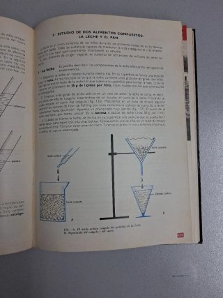 ANATOMIA FISIOLOGIA HIGIENE