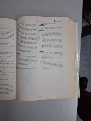 Nire lehen hiztegia