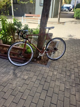 Bicicleta de Carretera Clásica