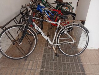 Bicicleta de paseo
