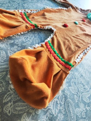 Disfraz de Jengibre Navideño 9-12 meses