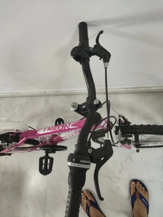 Bicicleta Neon X-Team Pro Niña