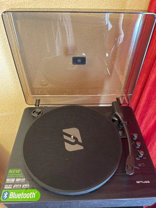Cadena de música Technics SA-EH770+Tocadiscos Muse