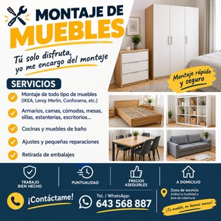 Montador de muebles profesional.