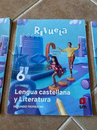 Lengua Castellana y Literatura, 6 Primaria, Rev...