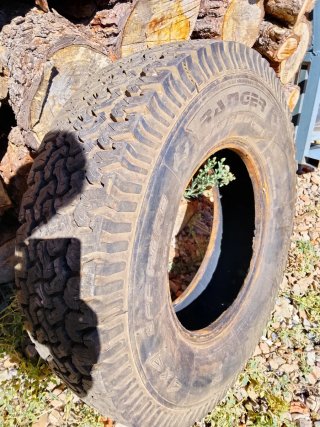 Neumático 4x4 Ranger