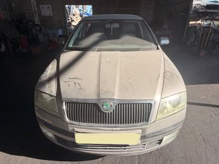 Despiece Skoda Octavia 1.9 TDI 2007