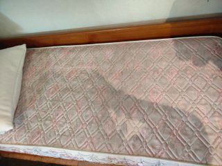 Cama Nido de Madera