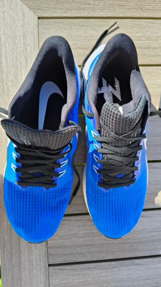 Nike Pegasus 39 Talla 42.5 Azul hombre