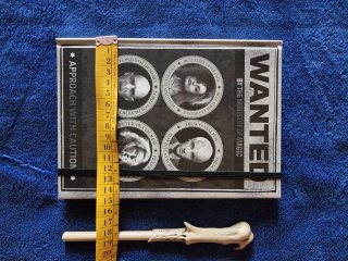 Taccuino Harry Potter Wanted + Penna