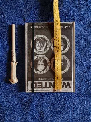 Taccuino Harry Potter Wanted + Penna