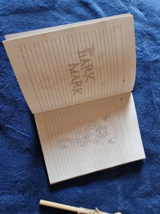 Taccuino Harry Potter Wanted + Penna