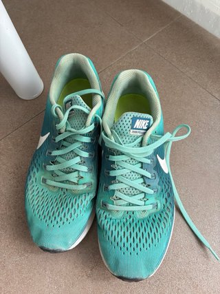 Zapatillas Nike Pegasus 34 Talla 40,5