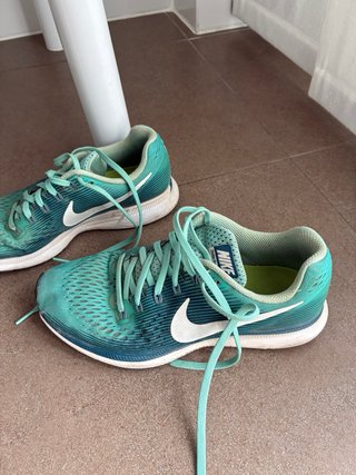 Zapatillas Nike Pegasus 34 Talla 40,5