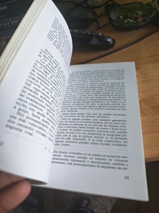 Del sufrimiento a la paz: hacia una liberación ...