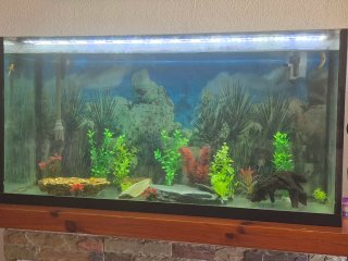 Acuario 300L