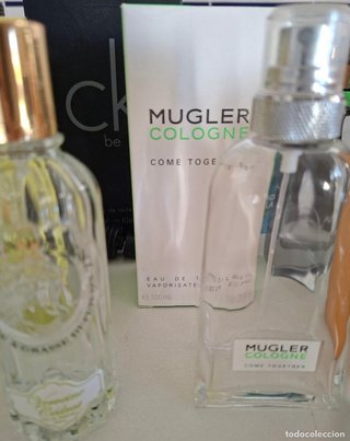 Colección de 12 Frascos de Perfume Vacíos
