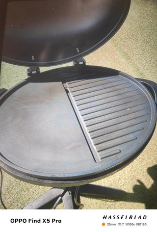 Barbacoa Eléctrica Grill Meister