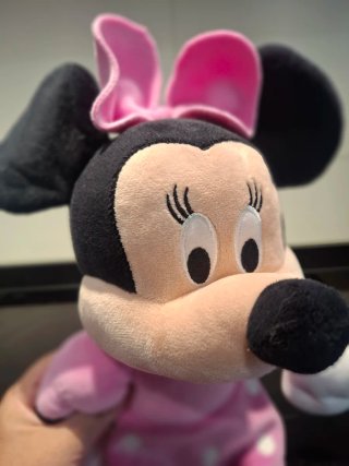 Libros + muñeca Minnie Mouse