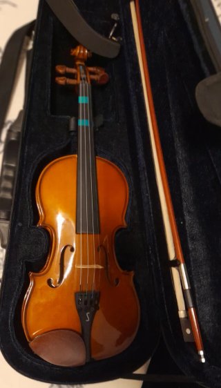 Violín 3/4 con estuche y arco