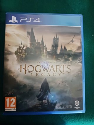 Hogwarts Legacy PS4 (PlayStation 4)