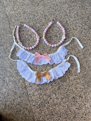 Conjunto de Acessórios para Pet