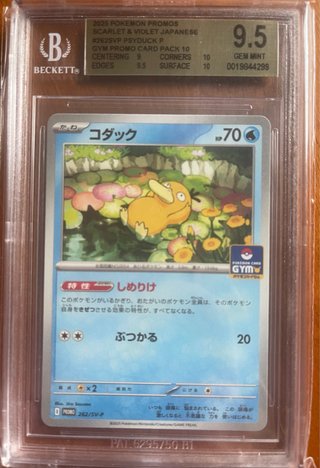 Carta Pokémon Psyduck 262/SVP-P Gem Mint 9.5