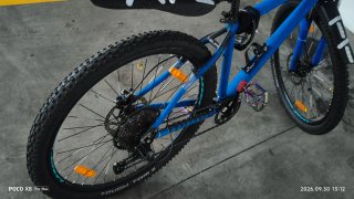 Bicicleta de montaña 29
