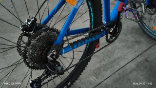 Bicicleta de montaña 29