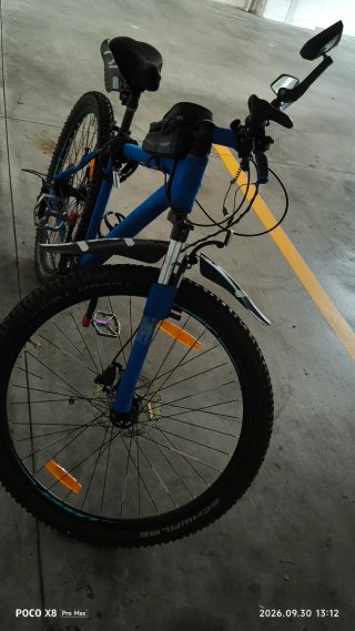 Bicicleta de montaña 29
