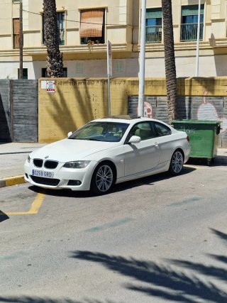 BMW Serie 3 2010