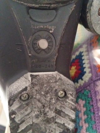 Botas de esquí Nordica